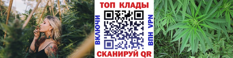 Виды наркоты Ясногорск Конопля  АМФЕТАМИН  Мефедрон  Alpha-PVP 