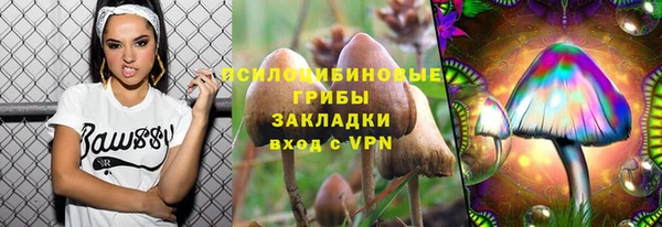 синтетический гашиш Арсеньев